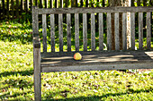 Apple on bench