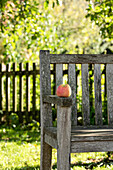 Apfel auf Bank