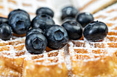 Waffel mit Heidelbeeren