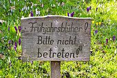 Schild Frühjahrsblüher