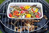 Barbecue - Barbecue with grill tray