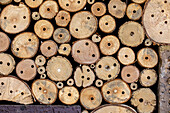 Wood in the insect hotel