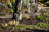 Gardening