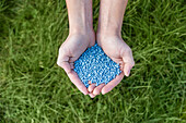 Fertiliser - Blue grain