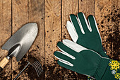 Garden tools, garden gloves