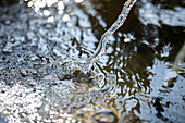 Water feature