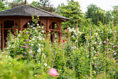 Pavilion in the rose garden