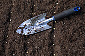 Sowing - Shovel in soil