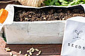 Sowing - Milk carton bed