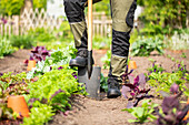 Gartengeräte - Arbeit mit Spaten