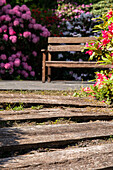 Path and bench with rhododendrons