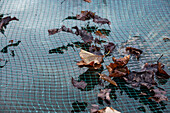 Pond net - frost protection