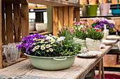 Decoration - planted flower pot