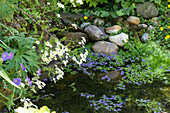 Garden pond