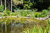 Gartenambiente mit Teich