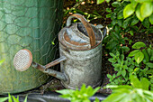 Watering can