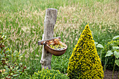 Gartendeko - Rickelpfahl mit Tränke