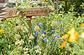Gartendeko - "Bienenweide" Schild