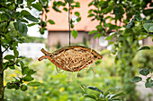 Garden decoration - insect screen