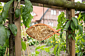 Garden decoration - Insect protection