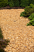 Bark mulch path