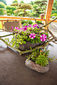 Patio decoration - Table arrangement