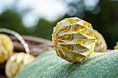 Sommerdeko - Lampions auf Sessel