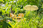 Garden terrace with parasol