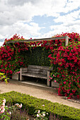 Bench in the garden