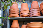 Terracotta pots (stacked)