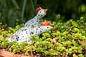 Gartendekoration - Dekofiguren Hühner