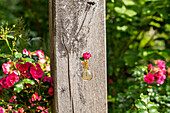 Gartendekoration - Rose