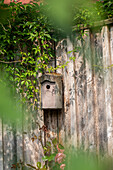 Bird house