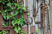Garden decoration - old garden tools