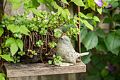 Garden decoration - bird figurine