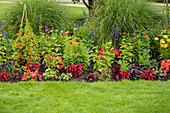 Summer garden - Flower bed