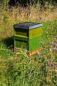 Beehive in the garden