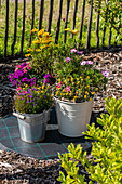 Garden impression - Planted buckets