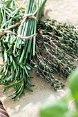 Herbs in a bundle
