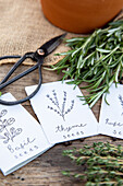 Herb seeds and herbs