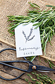 Rosemary bunch with seeds