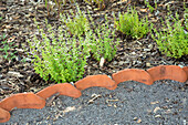 Bed border made of roof tiles