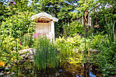 Garden ambience with pond