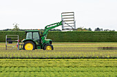 Tractor in the heathland