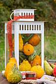 Autumn decoration with pumpkins