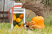 Herbstliche Dekoration mit Kürbissen