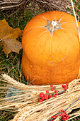 Autumn decoration with pumpkins