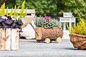 Wooden planter in ambience ambience