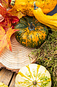 Autumn ambience - Pumpkins