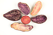 Solanum tuberosum 